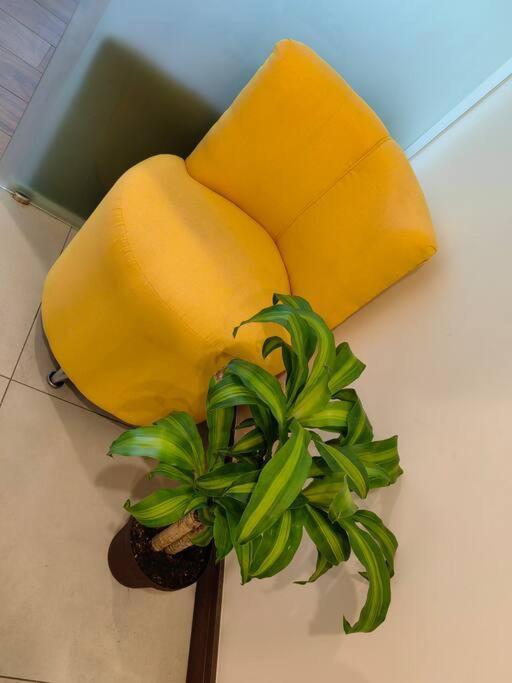 1102 Torre Los Yoses Hermoso Apartamento En Barrio Escalante Sin Parqueo San José Zewnętrze zdjęcie